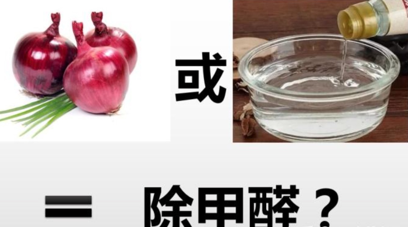 洋蔥和醋能除甲醛嗎？
