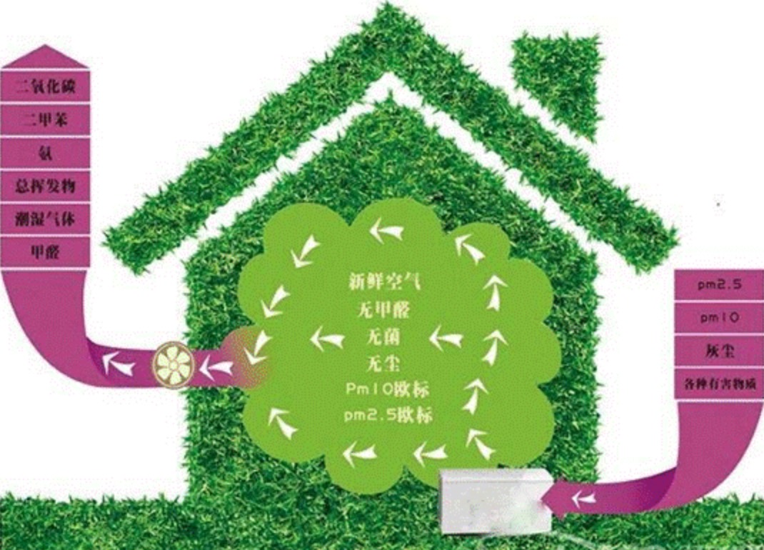 除甲醛的產(chǎn)品有哪些？
