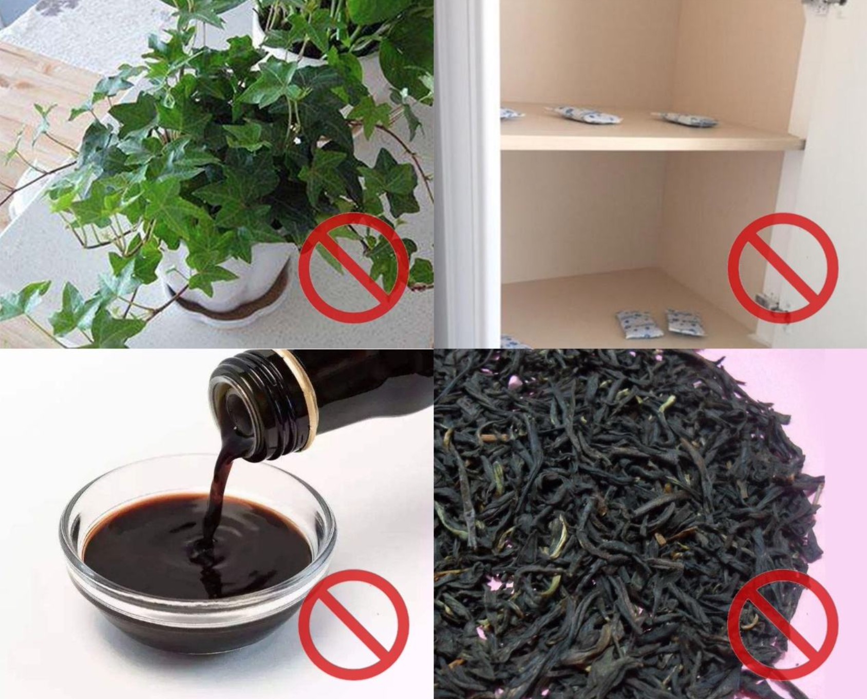 除甲醛用什么東西比較快？