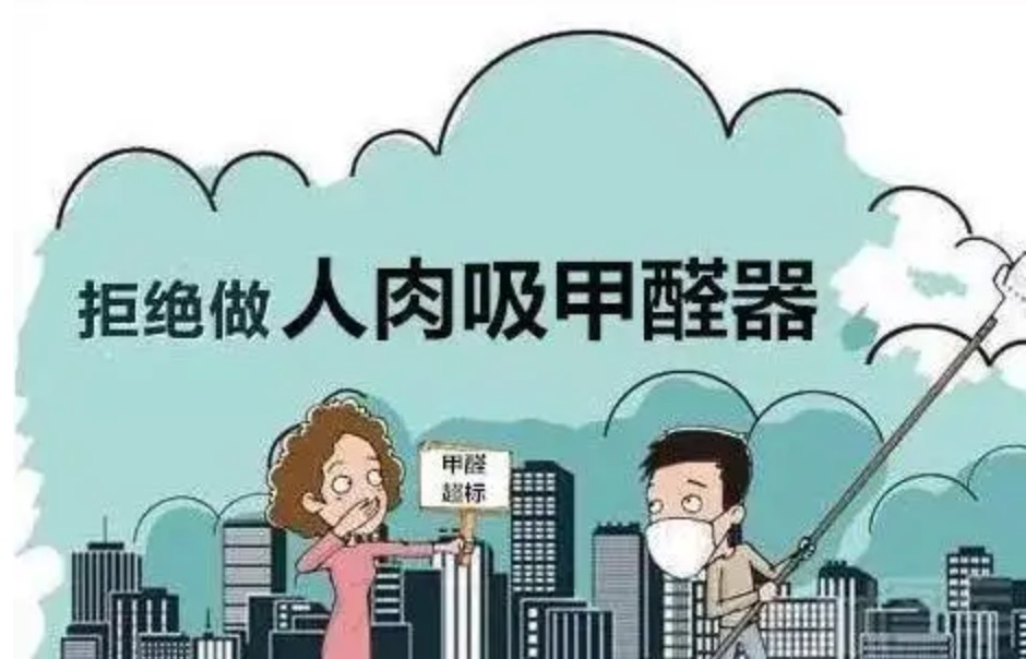 家里剛裝修好，放什么東西能吸甲醛？