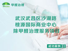 武漢武昌區(qū)桃源國際商業(yè)中心除甲醛治理服務項目