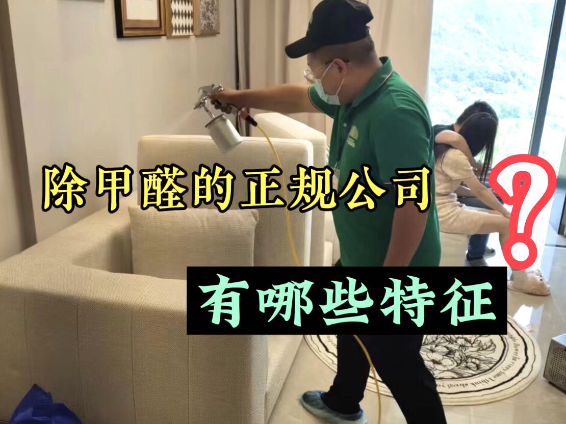 除甲醛的正規(guī)公司有哪些特征？