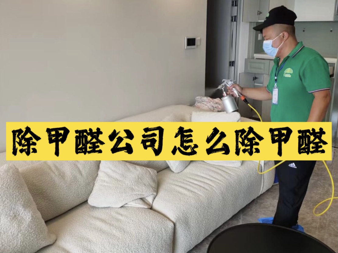 除甲醛公司怎么除甲醛？