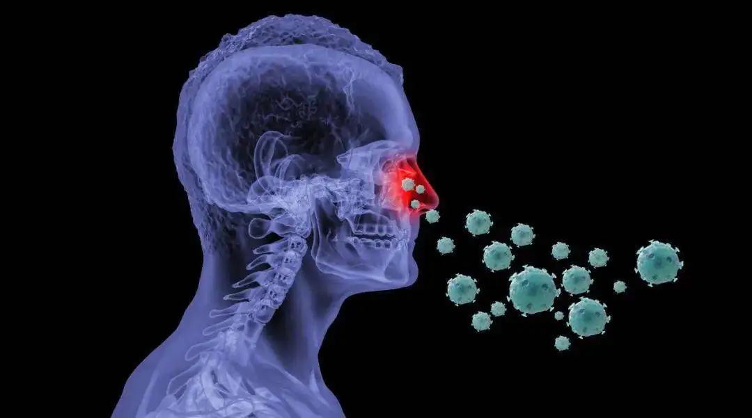 鼻病毒感染是什么引起的，日常消毒殺菌有用嗎？