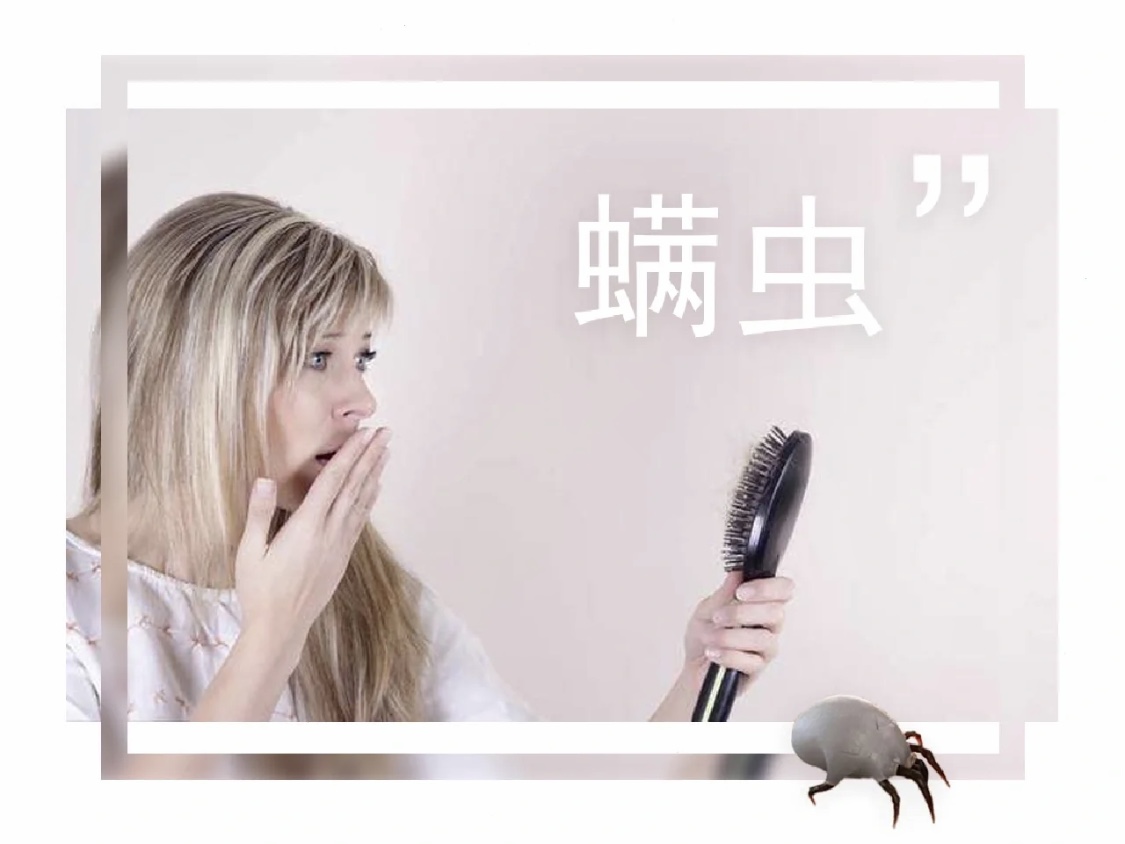 螨蟲(chóng)對(duì)我們的危害有多大？