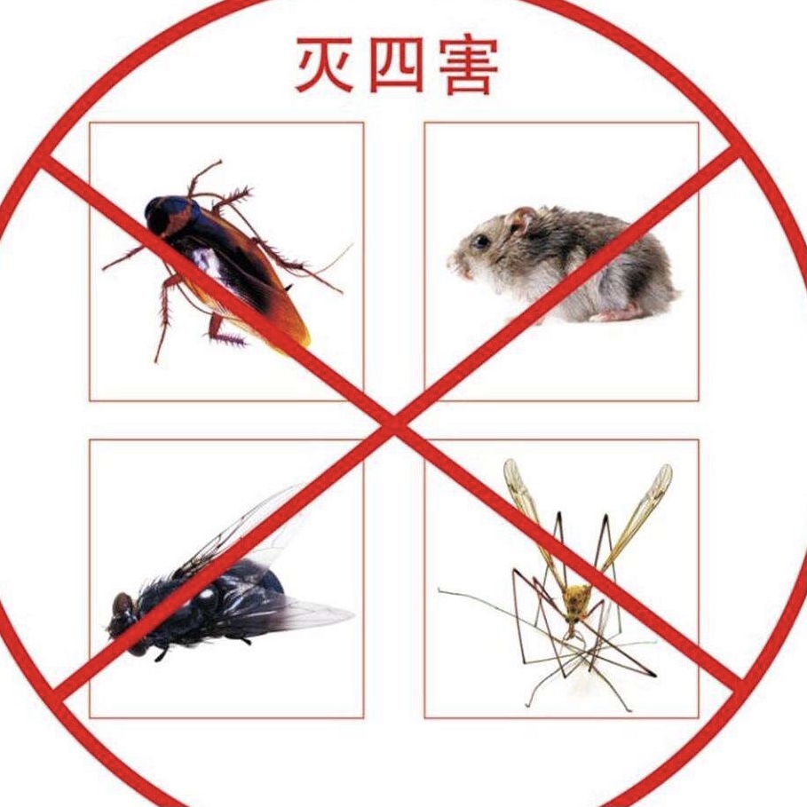蟑螂、老鼠、白蟻