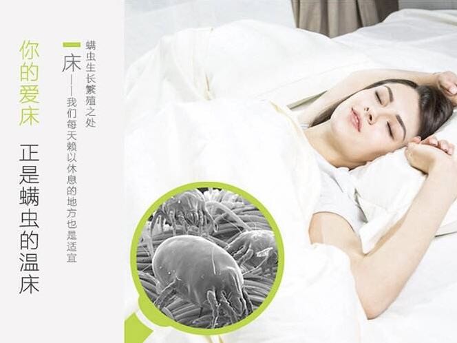 螨蟲(chóng)