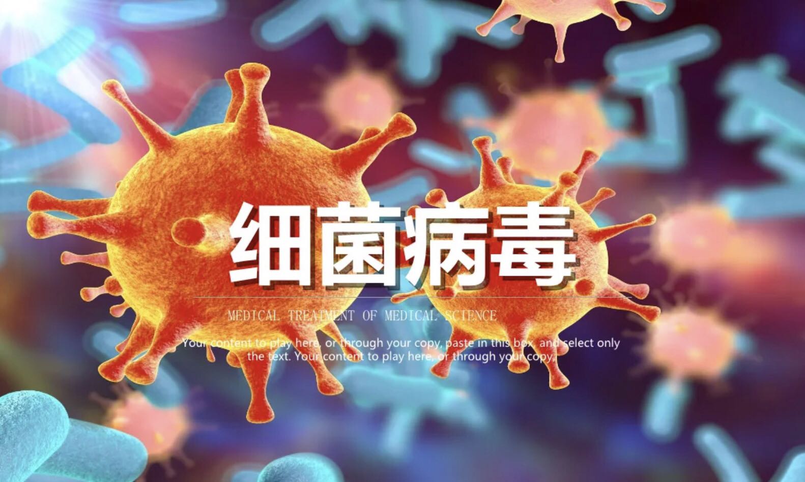 病毒與細(xì)菌