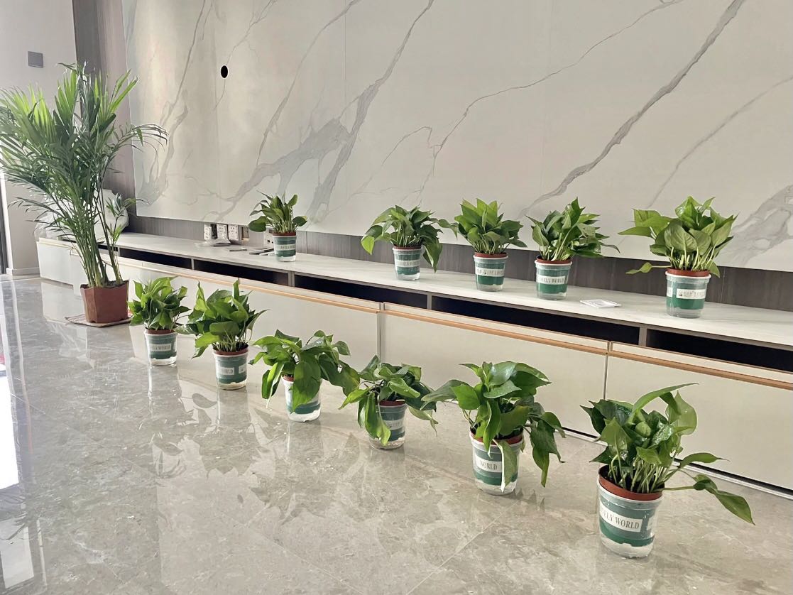 綠植法