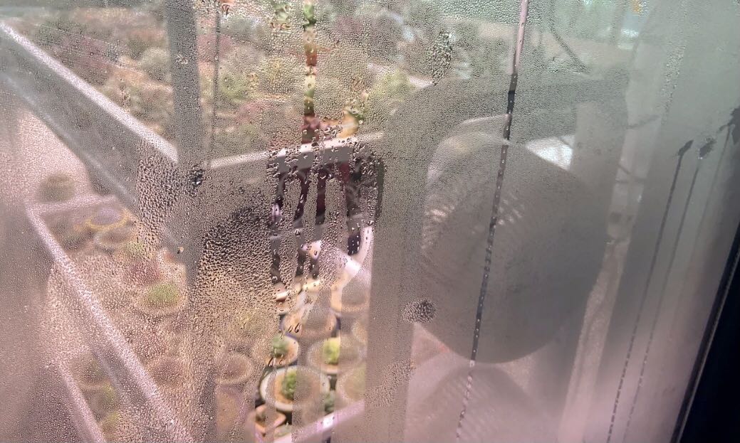 濕度過高或者過低有什么危害？