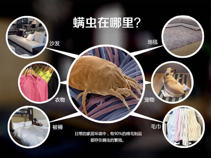 螨蟲(chóng)