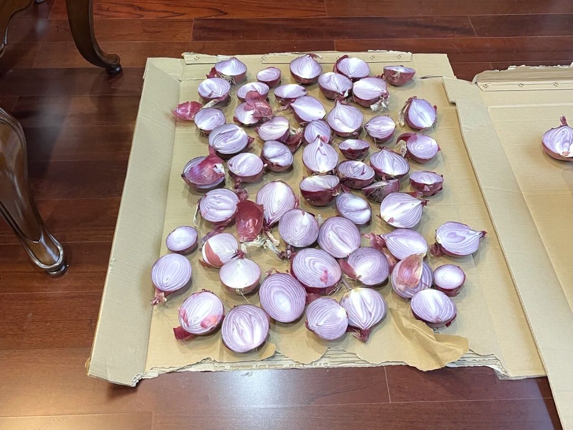 為什么不推薦洋蔥除甲醛？