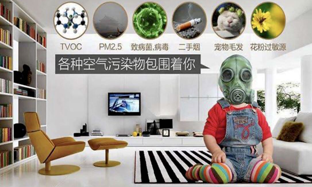 微生物、病毒、細(xì)菌