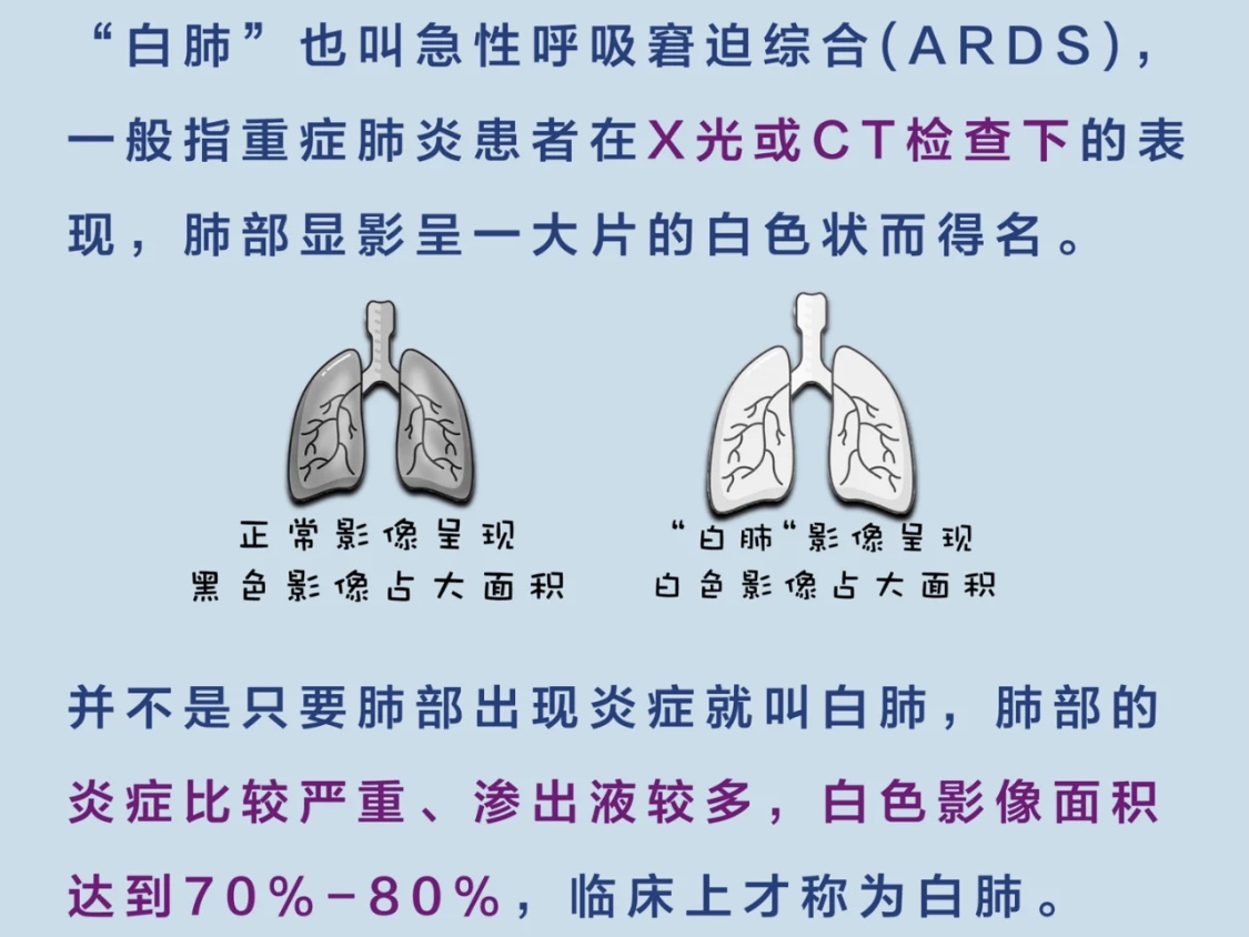 白肺是什么？