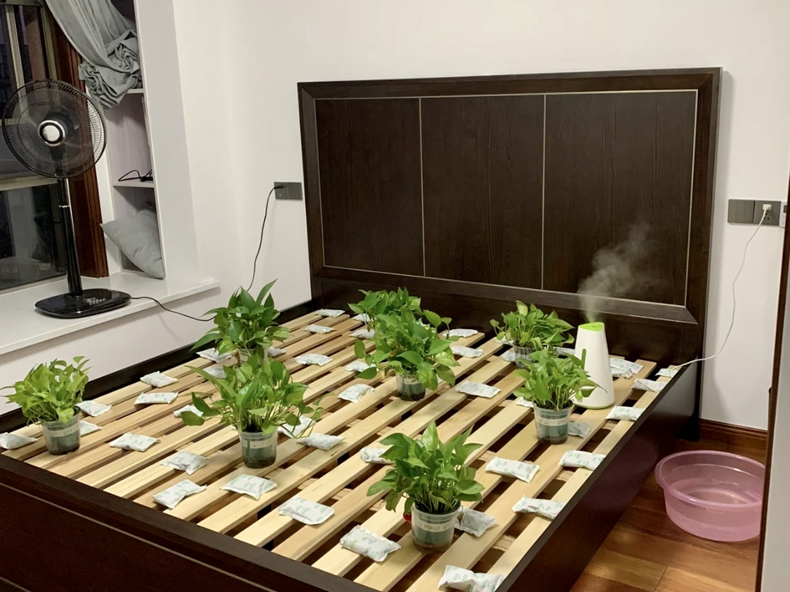 綠植、炭包對甲醛的治理有限
