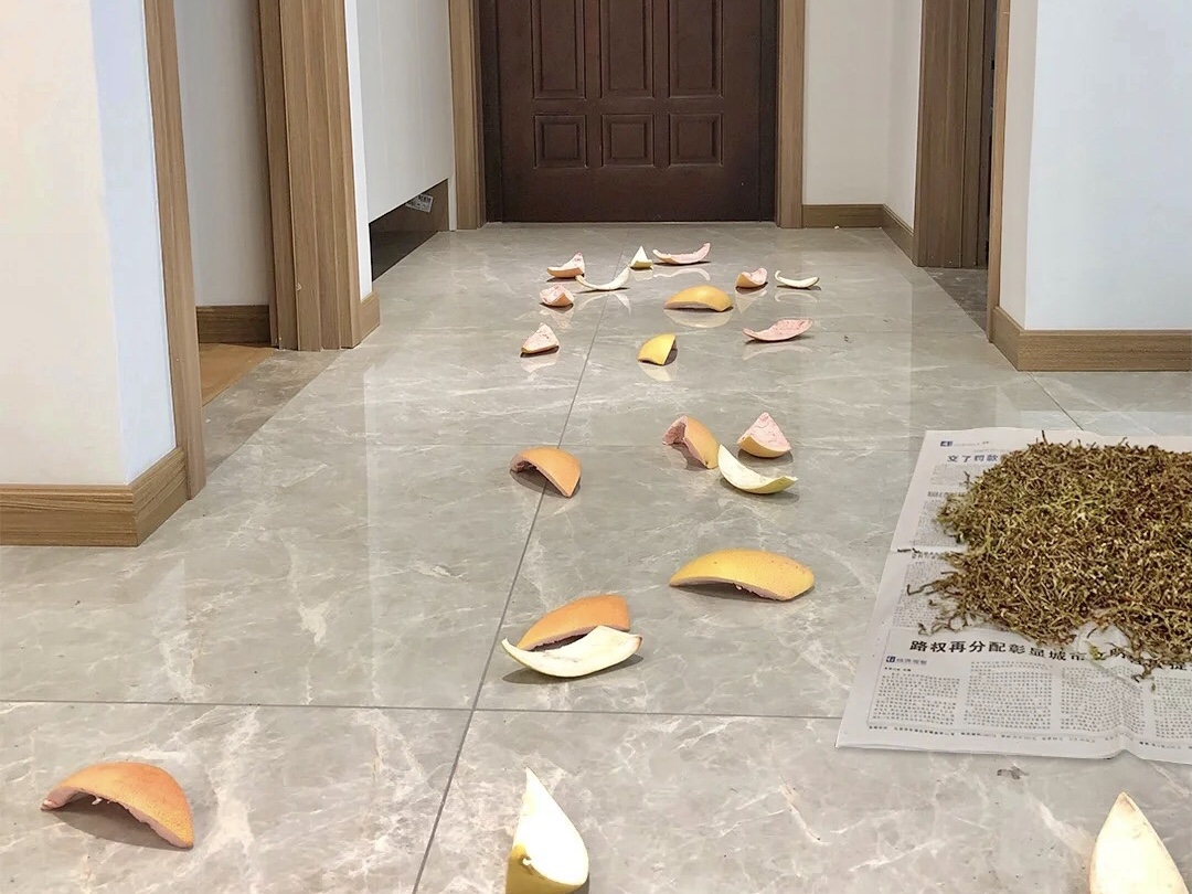 這些東西無(wú)法去除甲醛！
