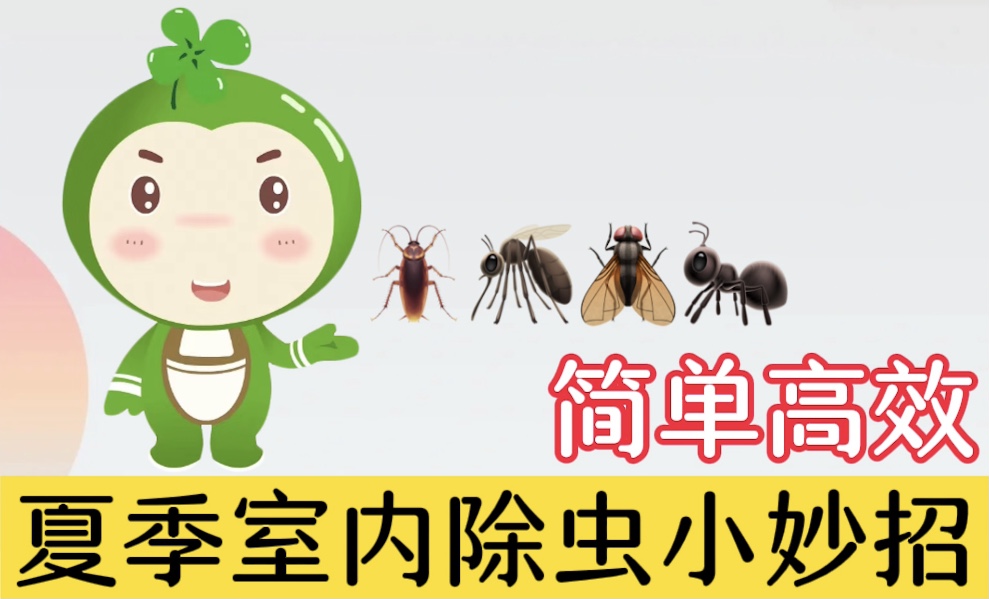 夏季室內(nèi)除蟲小妙招，簡單高效