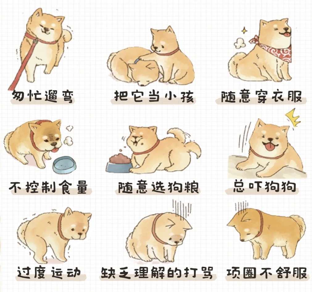 養(yǎng)綠植寵物，這些方面要注意
